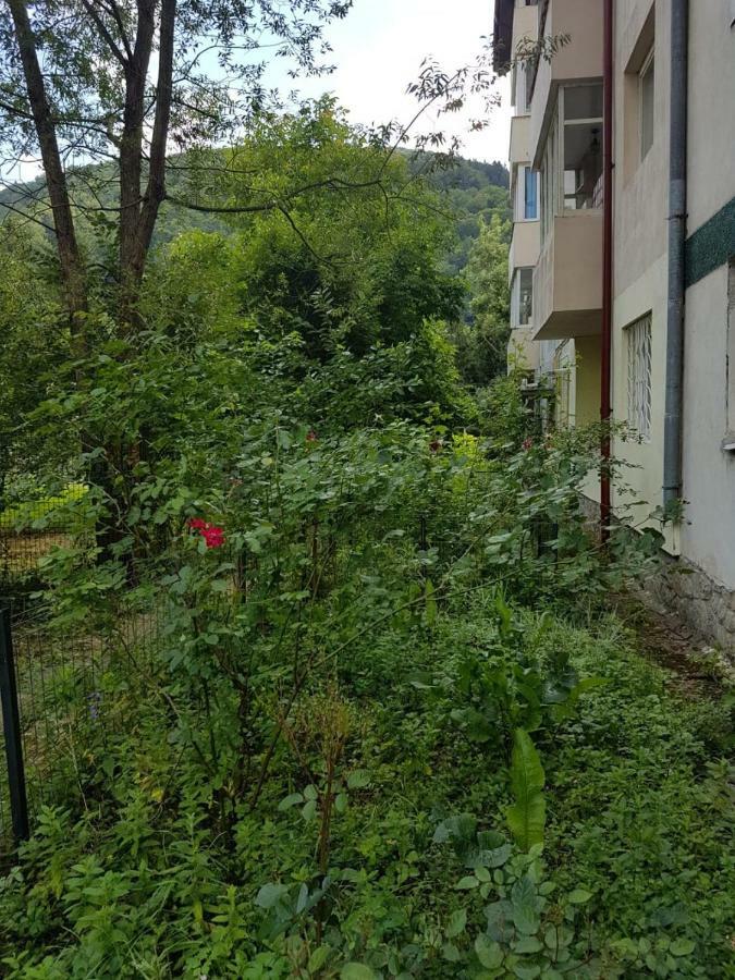 Premium Apartment Sinaia Buitenkant foto